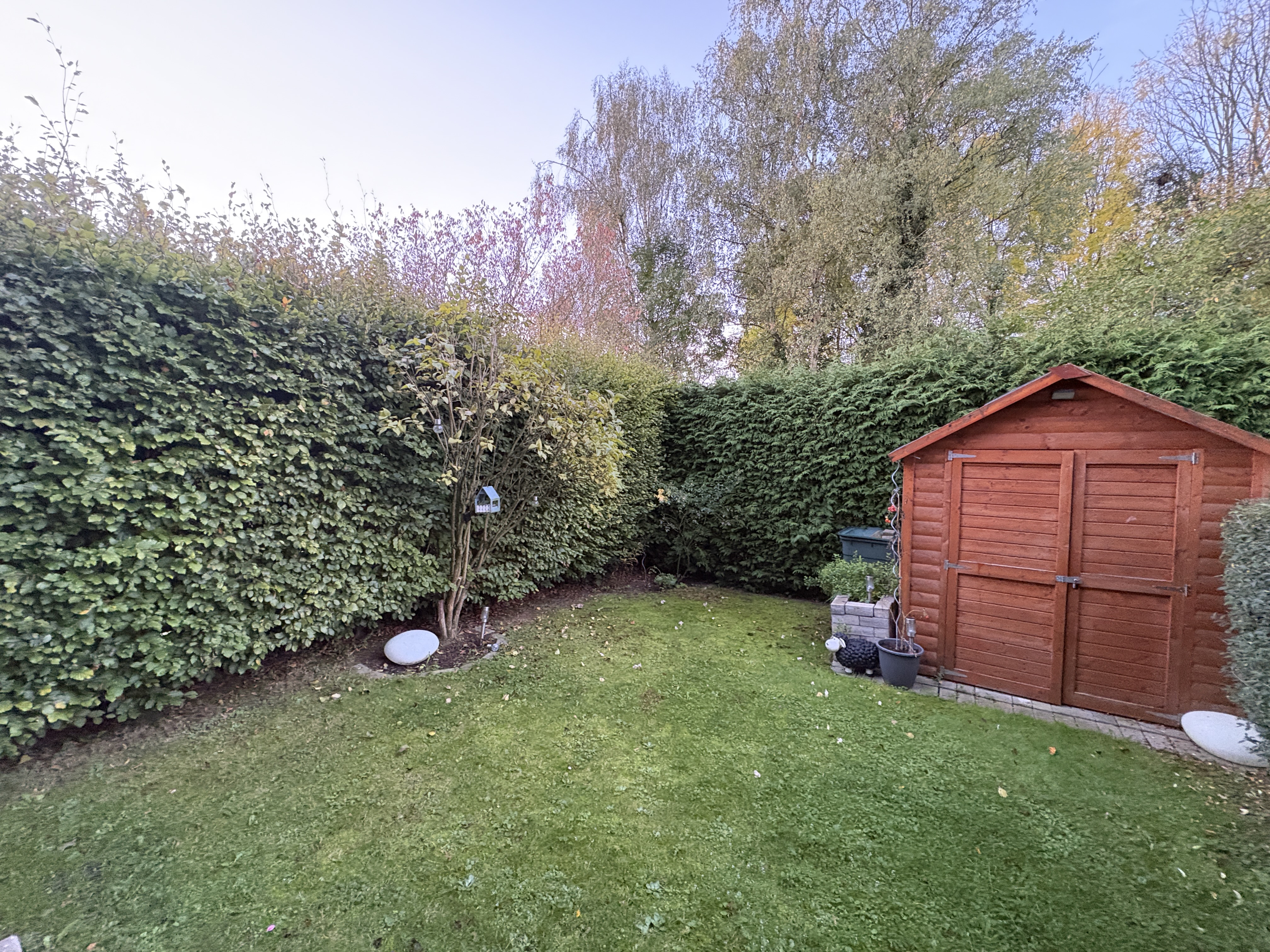 Vorher: Ausgangszustand des Gartens